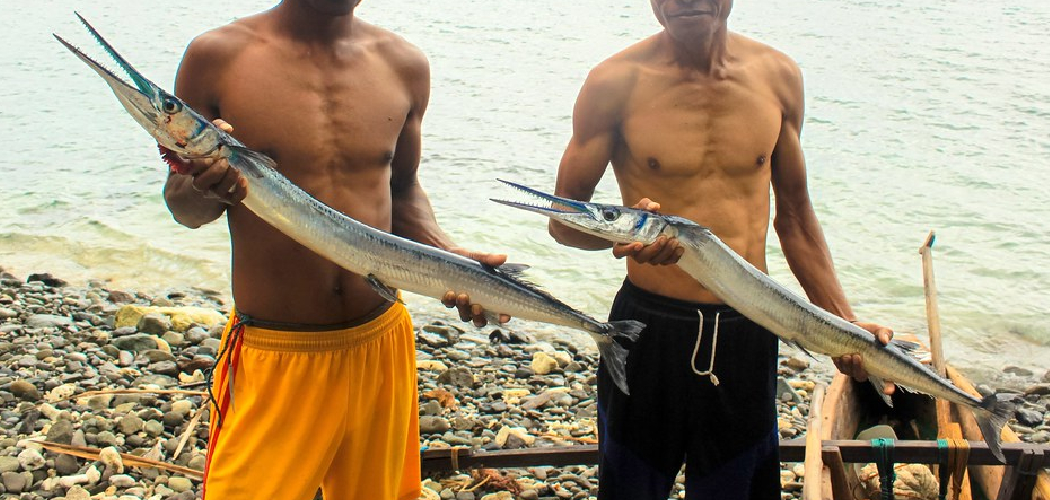 How to Catch Needlefish