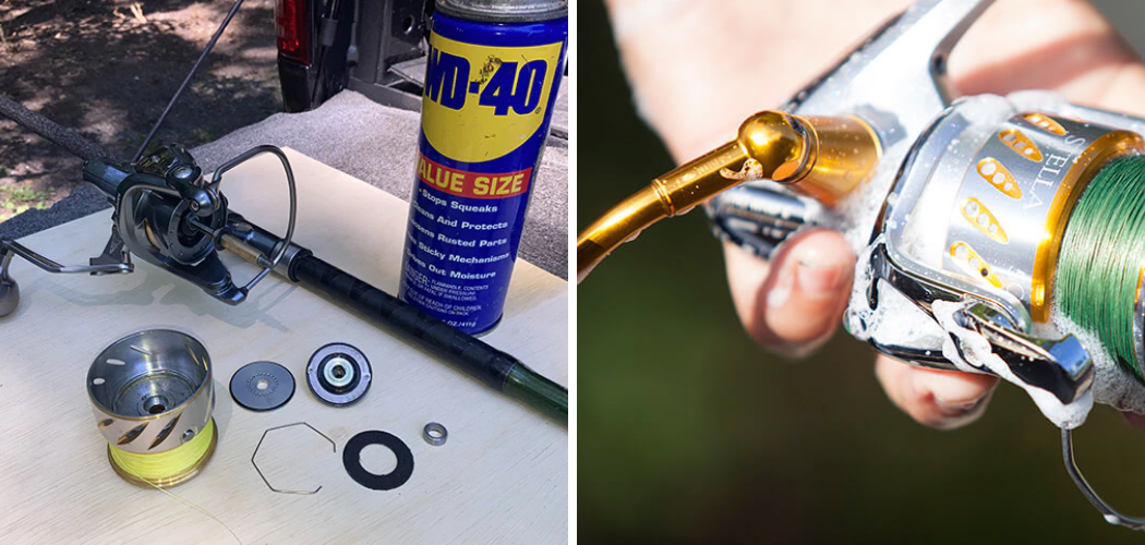 In this post on how to clean a fishing reel after saltwater use, I will guide you through a thorough, step-by-step process for cleaning your reel after saltwater fishing to