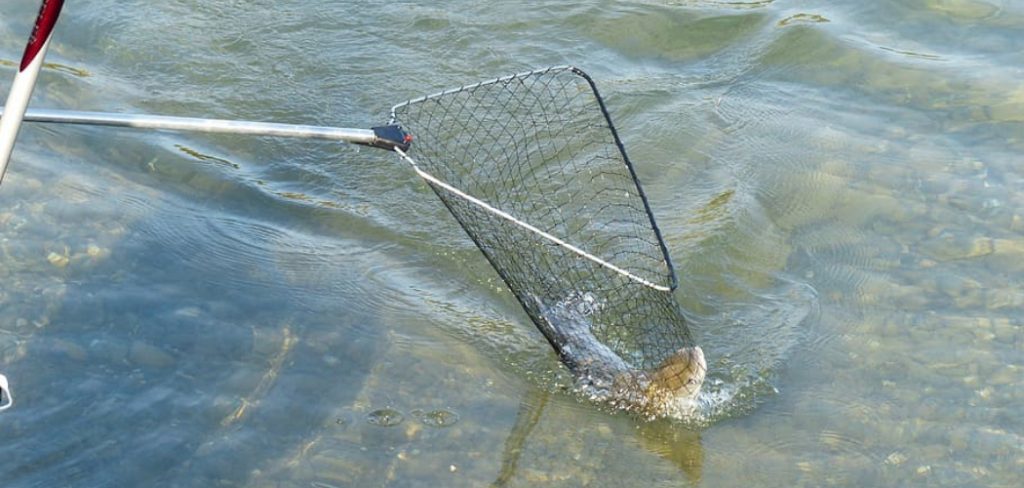 How to Fish With a Net