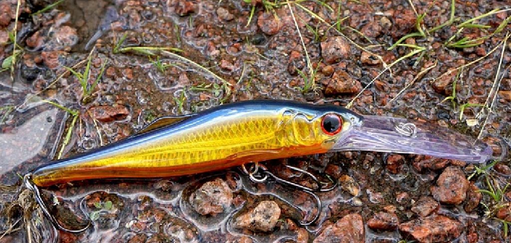 How to Fish a Rattle Trap