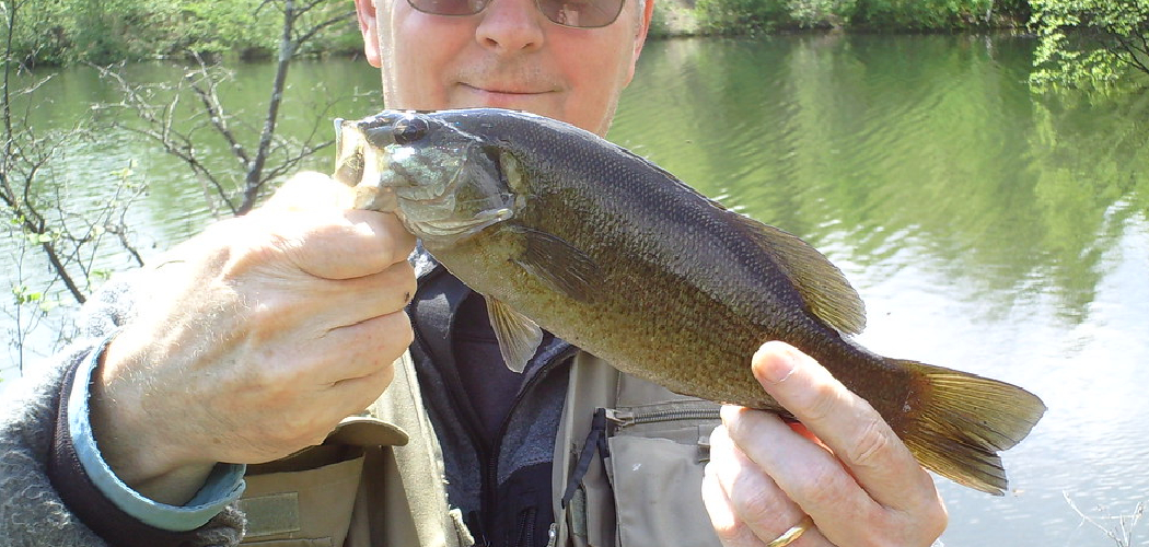 How to Fish a Tube for Smallmouth