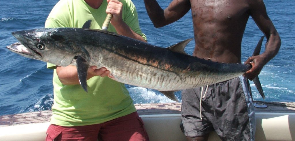 How to Fish for Wahoo