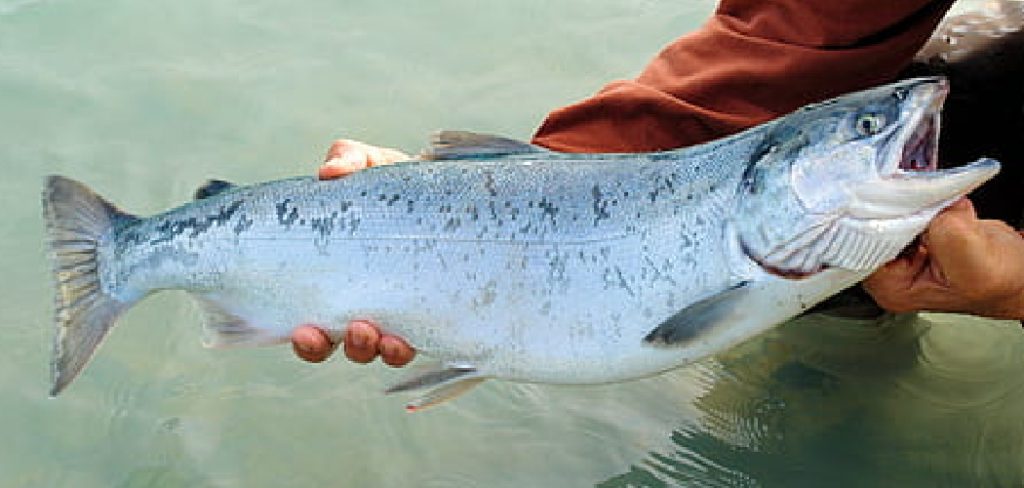 How to Hold a Bass Fish