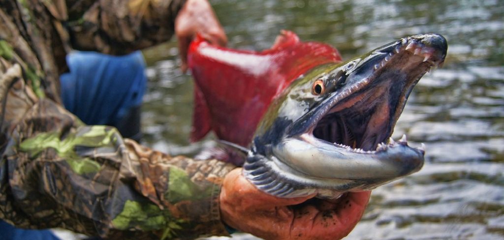 How to Hold a Fish Without Getting Hurt