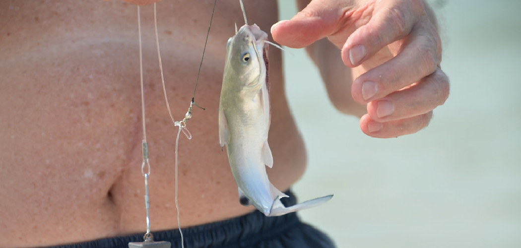 How to Jig Fish Saltwater