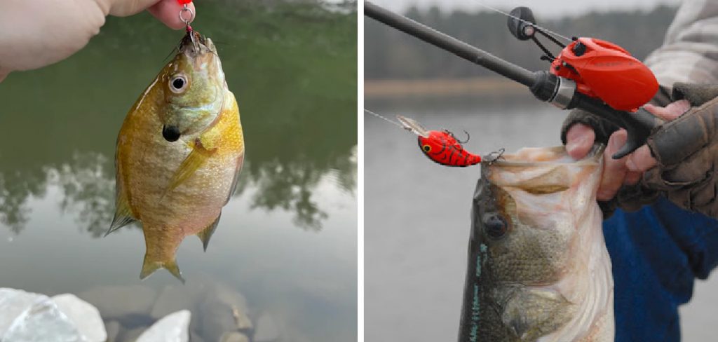 How to Remove a Treble Hook From a Fish