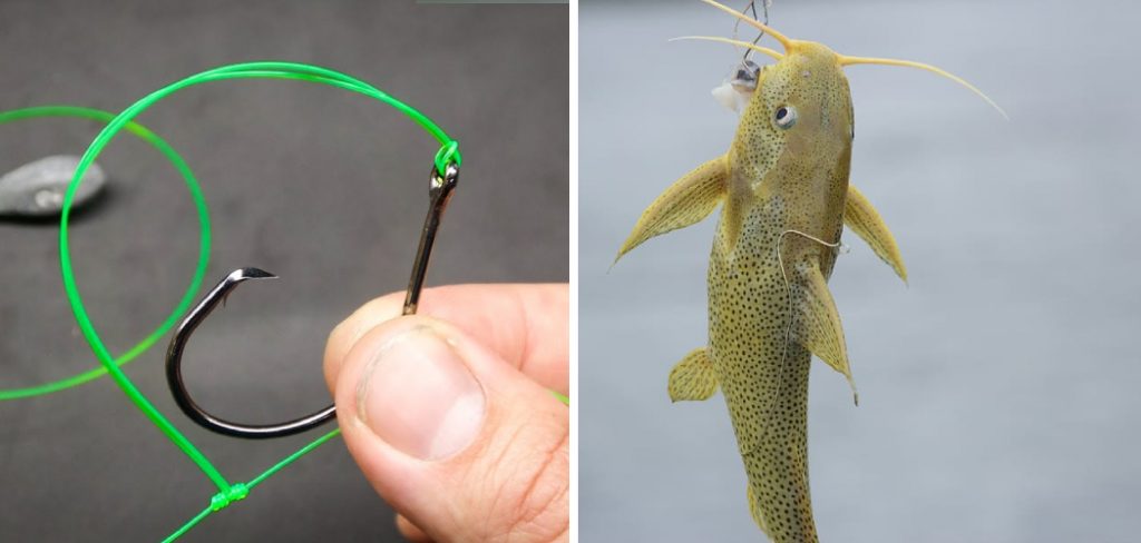 How to Set Up Fishing Line for Catfish
