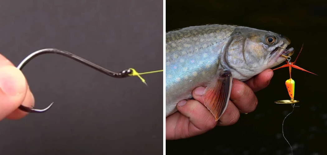 How to Tie a Knot on a Fishing Lure