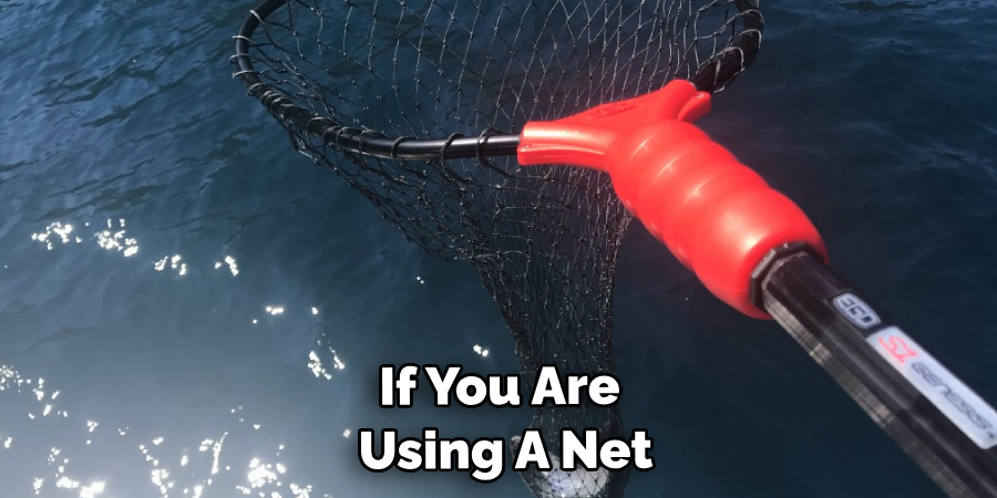 If You Are Using A Net