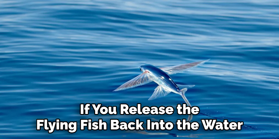 If You Release the Flying Fish Back Into the Water
