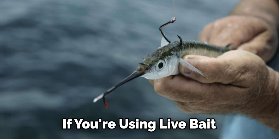 If You're Using Live Bait