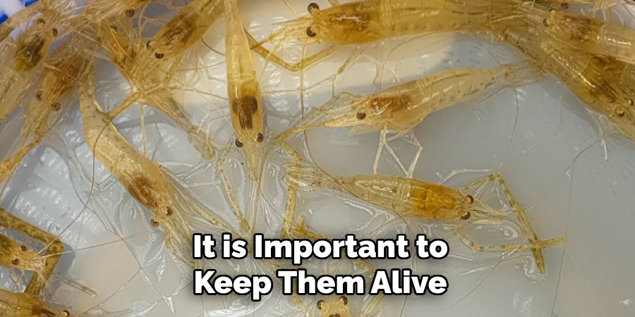 It is Important to Keep Them Alive