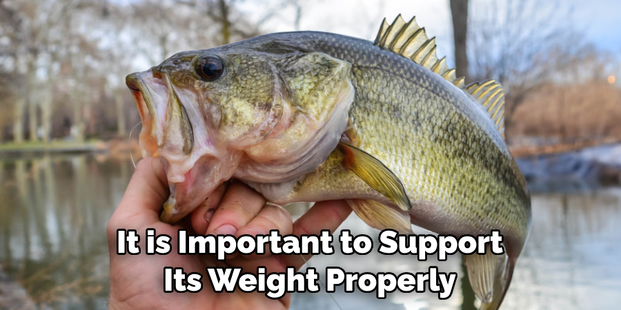 It is Important to Support 
Its Weight Properly