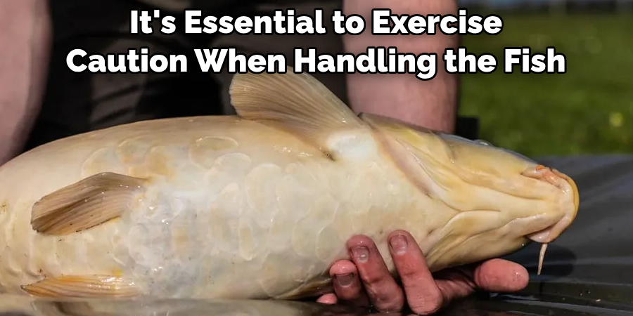 It's Essential to Exercise Caution When Handling the Fish