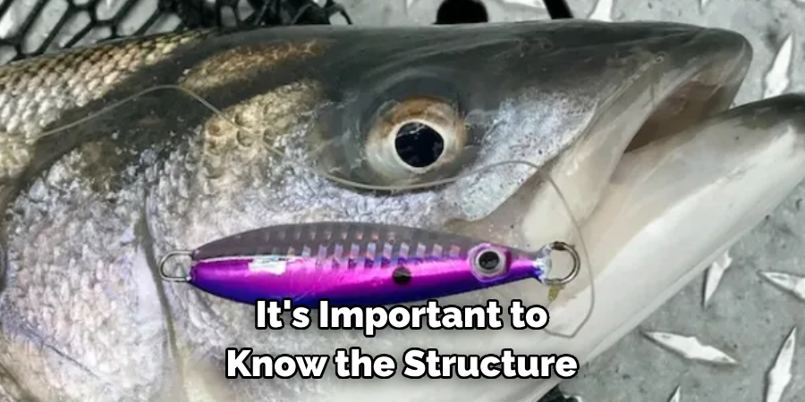 It's Important to Know the Structure