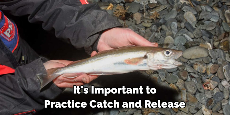 It's Important to Practice Catch and Release