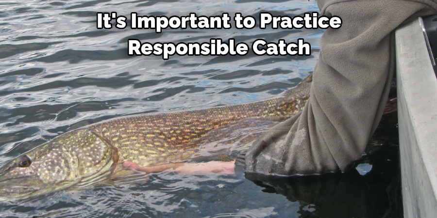 It's Important to Practice 
Responsible Catch