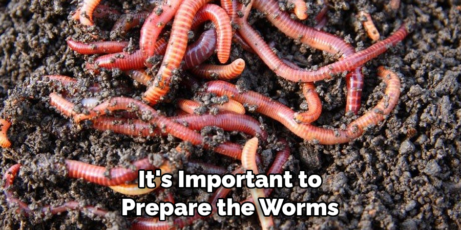 It's Important to
Prepare the Worms
