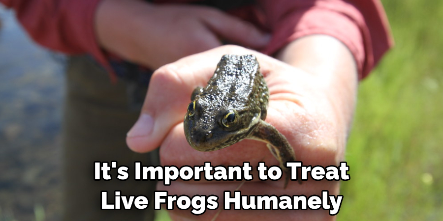 It's Important to Treat Live Frogs Humanely