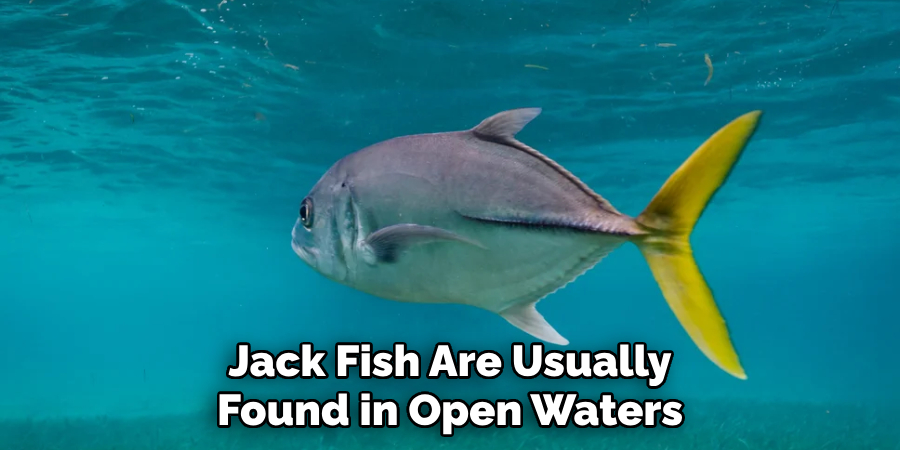 Jack Fish Are Usually Found in Open Waters