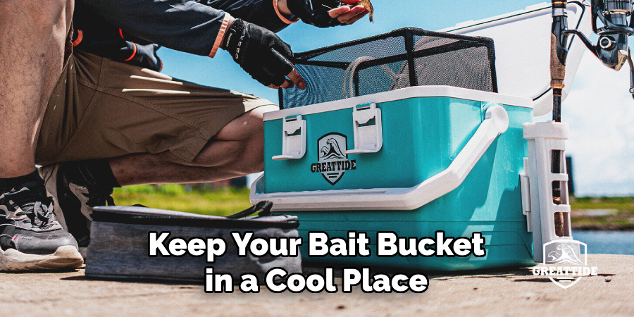 Keep Your Bait Bucket in a Cool Place