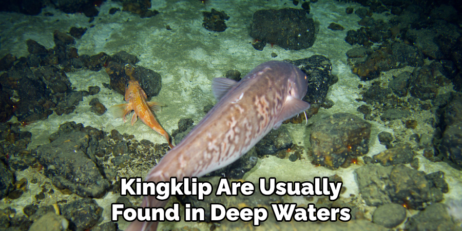 Kingklip Are Usually Found in Deep Waters