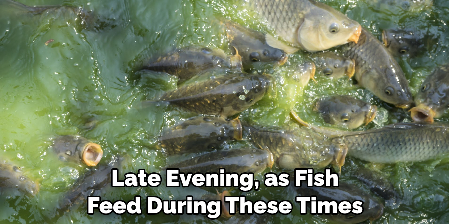 Late Evening, as Fish 
Feed During These Times