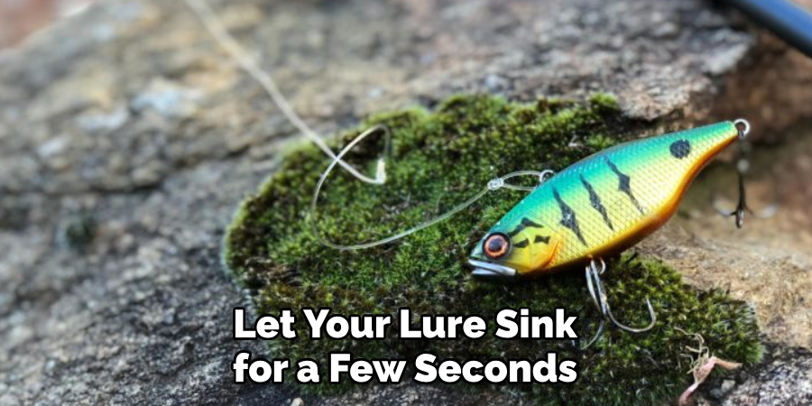 Let Your Lure Sink for a Few Seconds