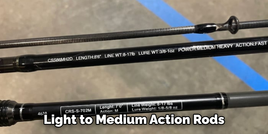 Light to Medium Action Rods 