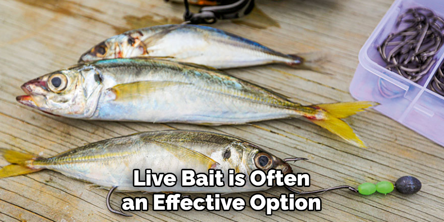 Live Bait is Often an Effective Option