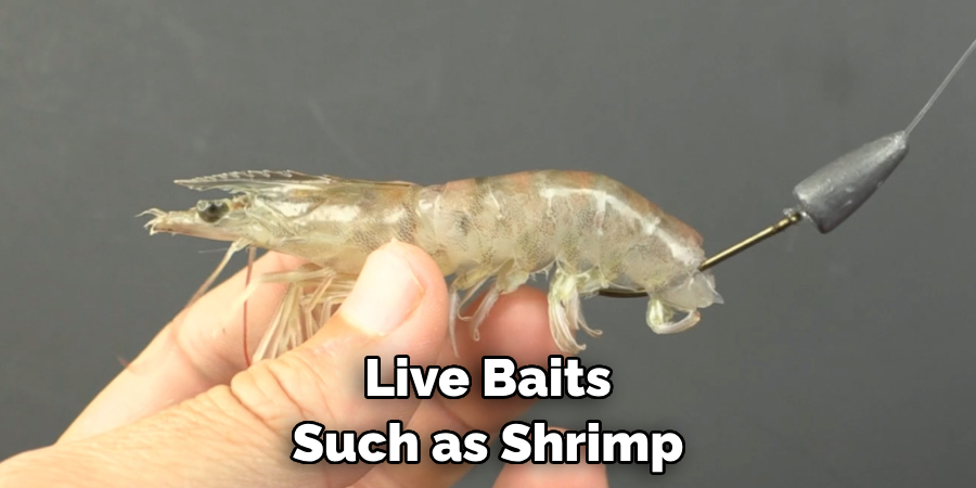 Live Baits Such as Shrimp