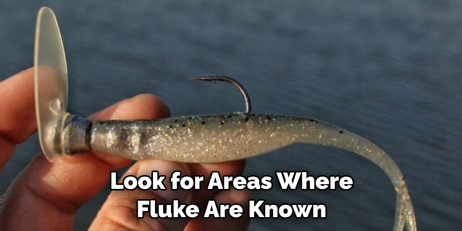 Look for Areas Where Fluke Are Known