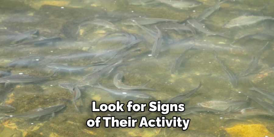 Look for Signs of Their Activity