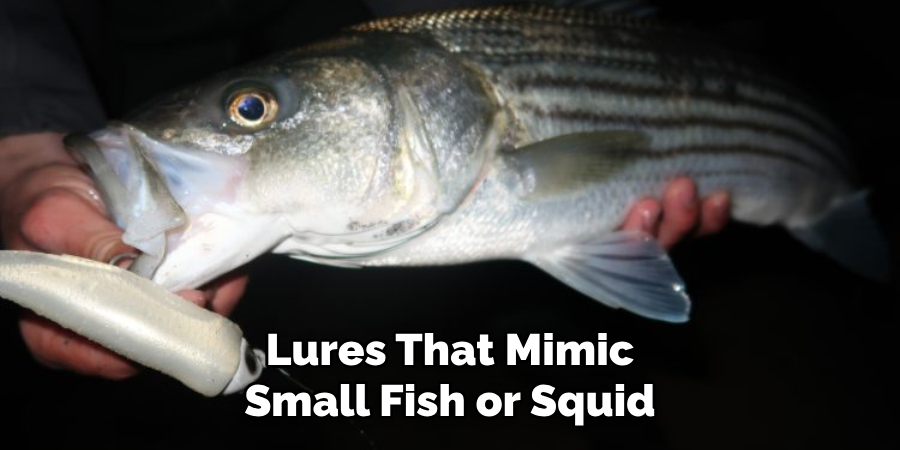 Lures That Mimic Small Fish or Squid