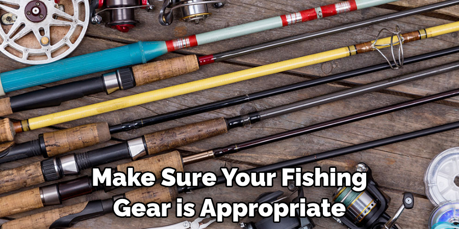 Make Sure Your Fishing Gear is Appropriate