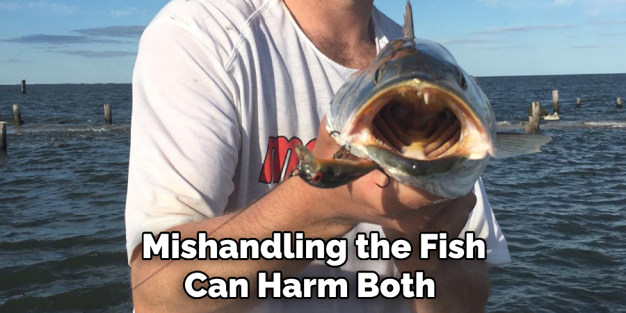 Mishandling the Fish Can Harm Both 