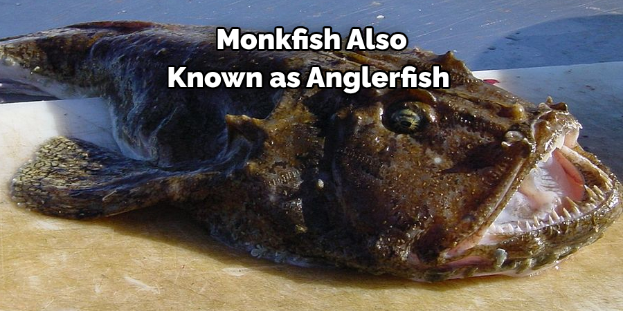 Monkfish Also Known as Anglerfish