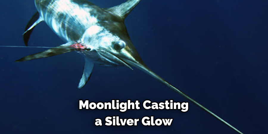 Moonlight Casting a Silver Glow