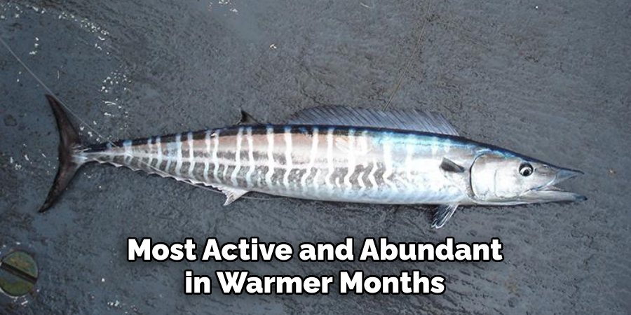 Most Active and Abundant in Warmer Months