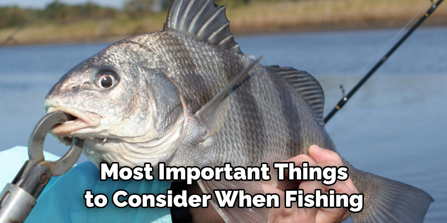 Most Important Things to Consider When Fishing