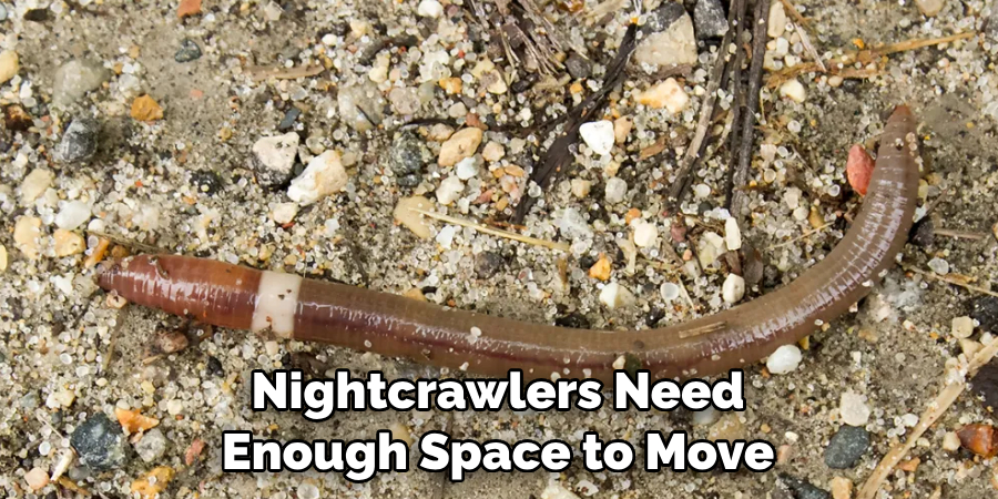 Nightcrawlers Need Enough Space to Move