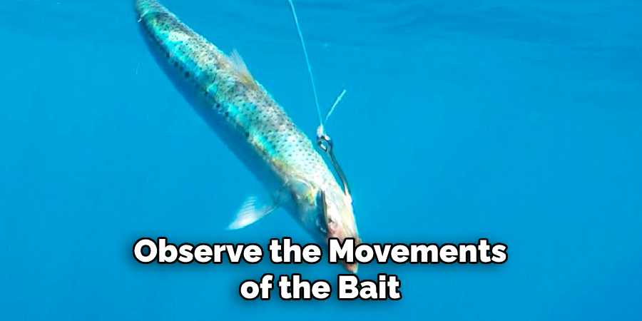 Observe the Movements of the Bait