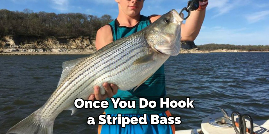 Once You Do Hook a Striped Bass