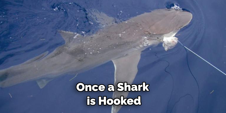 Once a Shark is Hooked