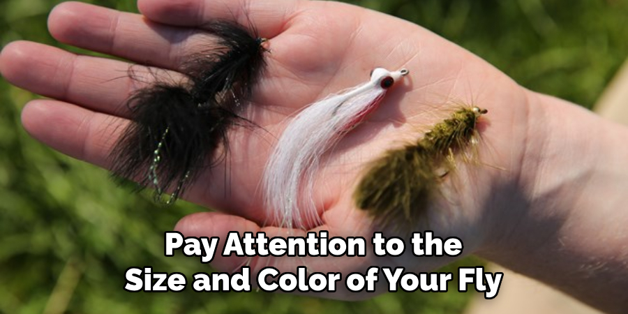 Pay Attention to the Size and Color of Your Fly