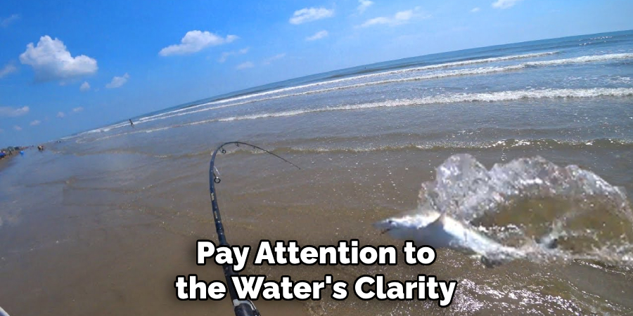 Pay Attention to the Water's Clarity