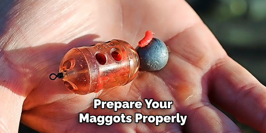 Prepare Your Maggots Properly