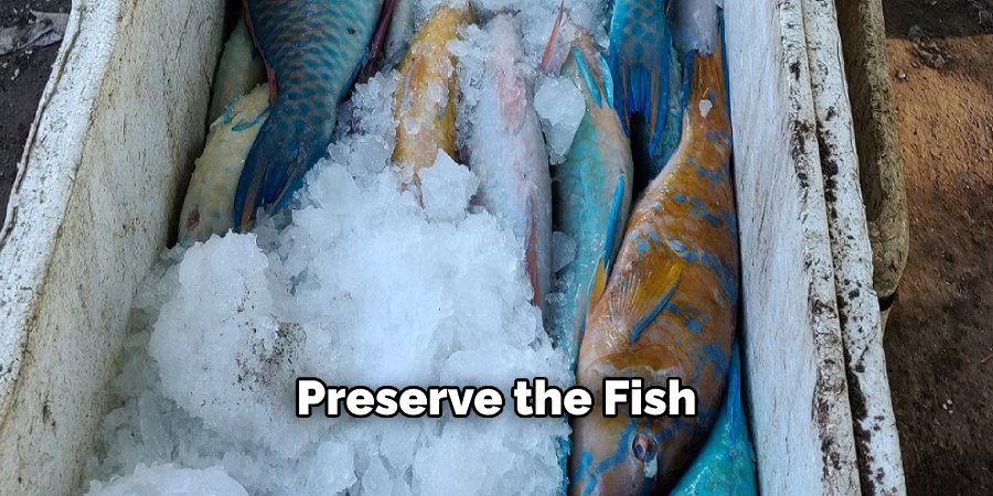 Preserve the Fish