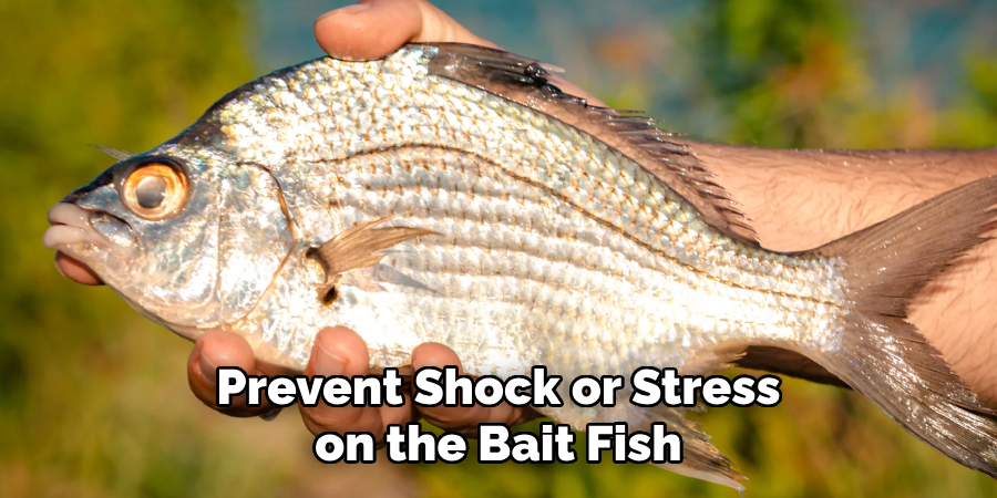 Prevent Shock or Stress on the Bait Fish