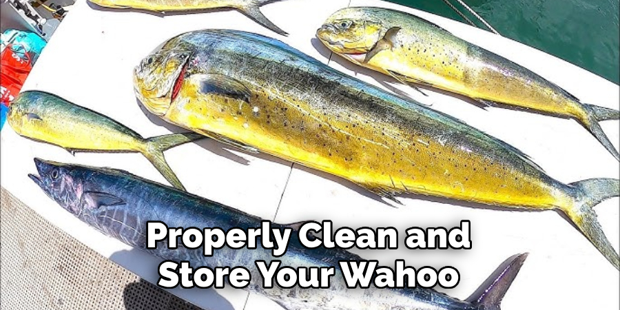 Properly Clean and Store Your Wahoo